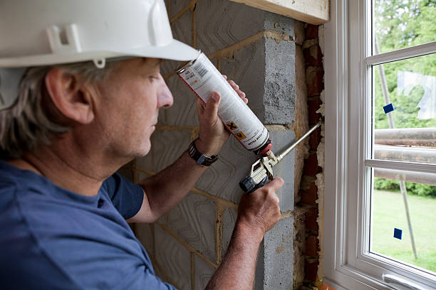 Professional Insulation Services in Ridgeway, AK